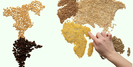 sprouted millets flakes 12